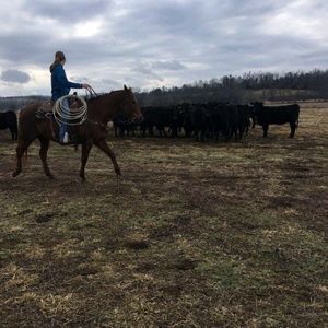 Meet your Posher, Megan